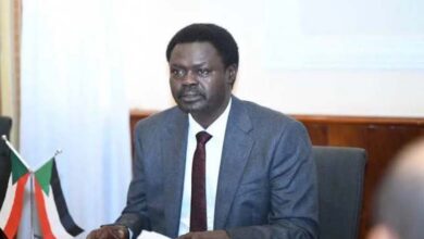 Minnawi hors jeu : les répercussions de son éviction sur la stabilité du pouvoir soudanais