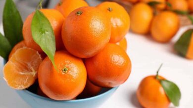 Pourquoi la clémentine doit faire partie de votre routine hivernale