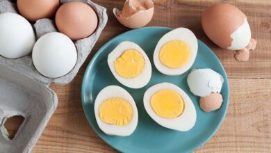 Quelle est la relation entre la consommation quotidienne d’œufs et le cholestérol ?