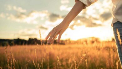 Une étude révèle les secrets du cerveau et de la santé