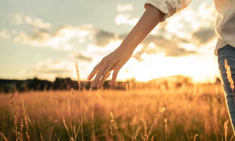 Une étude révèle les secrets du cerveau et de la santé