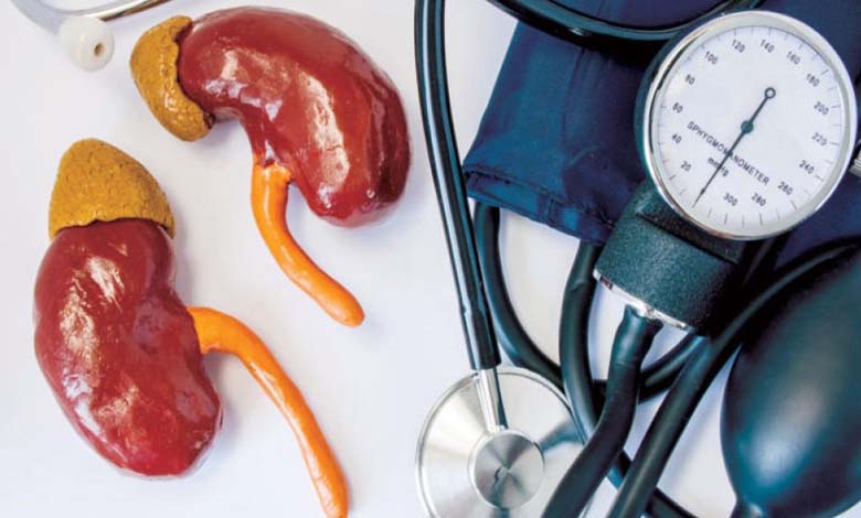 Comment l’hypertension artérielle attaque-t-elle silencieusement les reins ?