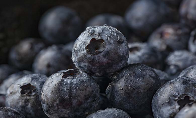 Consommer des myrtilles quotidiennement améliore la santé du cœur et du cerveau