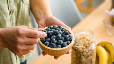 Consommer des myrtilles quotidiennement améliore la santé du cœur et du cerveau