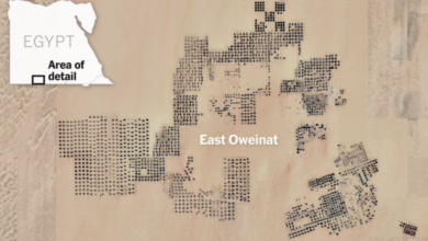 La base secrète dans le désert : comment les drones égyptiens ont transformé la guerre au Soudan en un modèle moderne de guerre par procuration