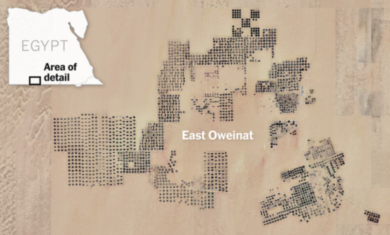 La base secrète dans le désert : comment les drones égyptiens ont transformé la guerre au Soudan en un modèle moderne de guerre par procuration