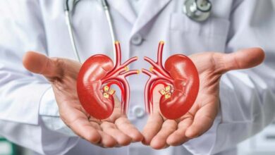 L’augmentation des températures estivales accroît-elle le risque de formation de calculs rénaux ?