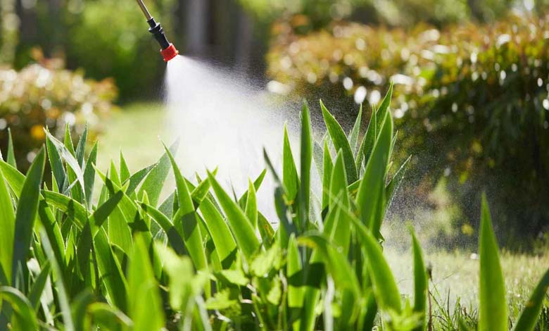 Le mélatonine peut-il atténuer les effets des pesticides dans l’alimentation ?