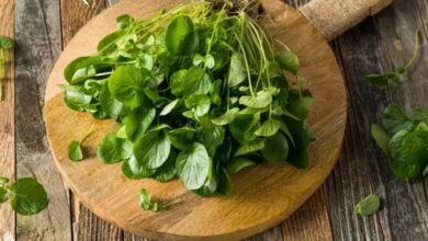 Pourquoi le cresson est-il considéré comme le légume le plus sain au monde ?