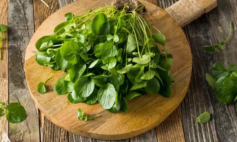 Pourquoi le cresson est-il considéré comme le légume le plus sain au monde ?