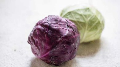 Chou rouge ou chou vert : lequel est le plus bénéfique pour la santé intestinale ?