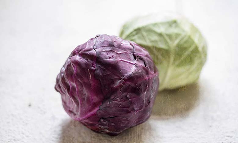 Chou rouge ou chou vert : lequel est le plus bénéfique pour la santé intestinale ?