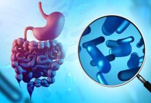 Comment les bactéries intestinales influencent-elles les envies de sucre et de graisses ? Analyse des mécanismes du microbiote et de ses interactions avec le cerveau