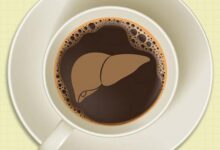 Que se passe-t-il au niveau du foie lors d’une consommation quotidienne de café ? Analyse scientifique des effets hépatiques