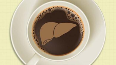 Que se passe-t-il au niveau du foie lors d’une consommation quotidienne de café ? Analyse scientifique des effets hépatiques
