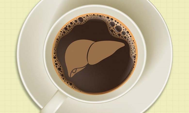 Que se passe-t-il au niveau du foie lors d’une consommation quotidienne de café ? Analyse scientifique des effets hépatiques