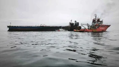 Guerre de l’ombre en mer Noire.. Des drones ciblent trois cargos