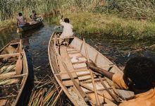 Le terrorisme aggrave la faim… Boko Haram et Daech transforment le lac Tchad en cimetière