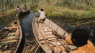 Le terrorisme aggrave la faim… Boko Haram et Daech transforment le lac Tchad en cimetière