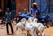 Pas de Tabaski à Bamako : le terrorisme vole la joie de l’Aïd au Mali