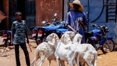 Pas de Tabaski à Bamako : le terrorisme vole la joie de l’Aïd au Mali