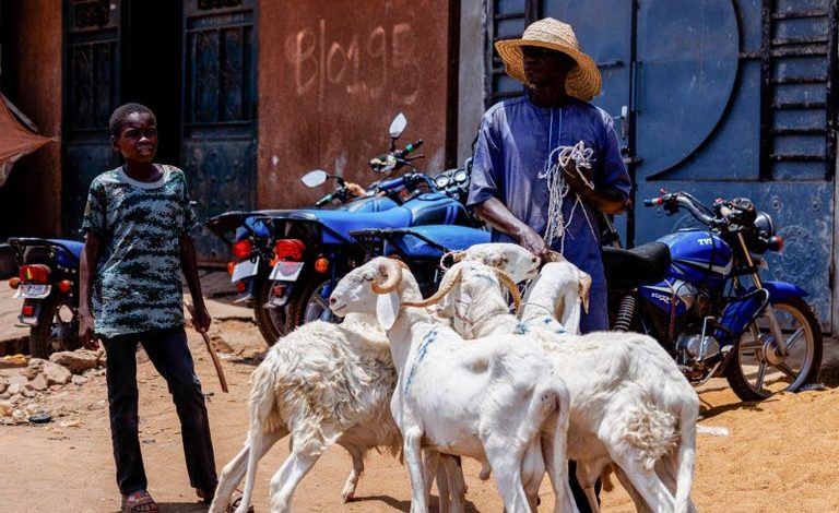 Pas de Tabaski à Bamako : le terrorisme vole la joie de l’Aïd au Mali