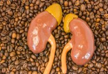 Que fait le café à vos reins lorsqu’il est consommé chaque matin ? Effets physiologiques, bénéfices potentiels et limites d’une habitude quotidienne