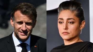 Quel est le lien entre une actrice iranienne et la gifle de Macron ?
