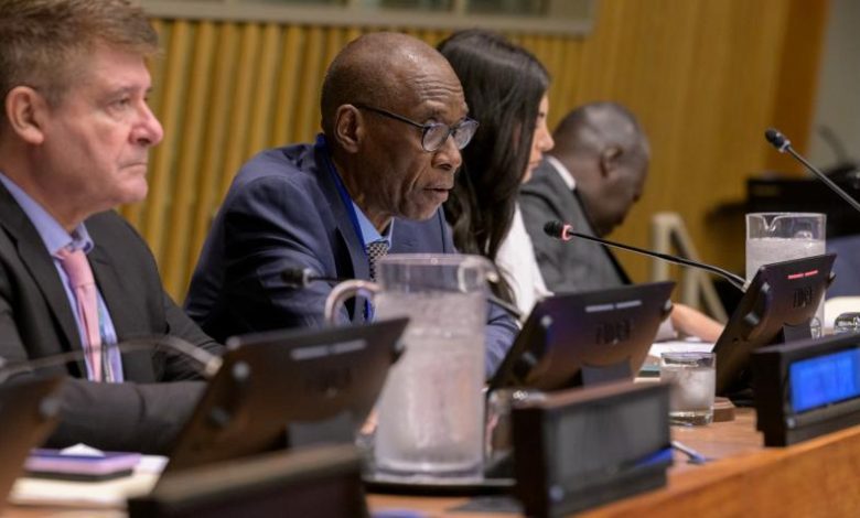 Appel palestinien urgent à l’ONU : Que cette folie cesse