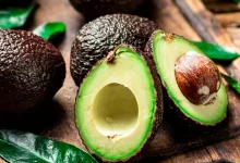 Consommer un avocat chaque jour pourrait améliorer le cholestérol et la qualité du sommeil