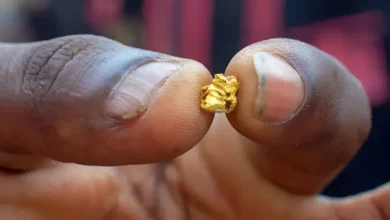 Du sang sous les décombres de l’or : détails de la nuit de terreur dans les mines de Jabal Al-Aqaydat et témoignages des survivants