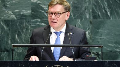 Frères ennemis : bras de fer entre l’Autriche et l’Allemagne pour un siège au Conseil de sécurité
