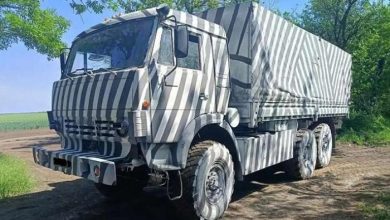 Le zèbre dans la guerre en Ukraine : une arme russe destinée à tromper les drones