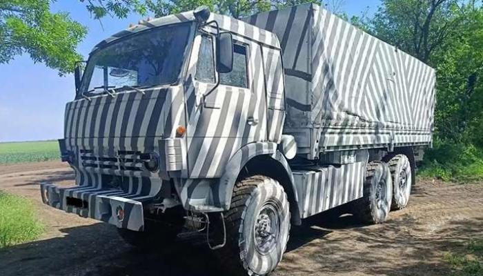 Le zèbre dans la guerre en Ukraine : une arme russe destinée à tromper les drones
