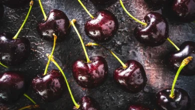 Les bienfaits remarquables des cerises noires : à condition de ne pas dépasser une certaine quantité chaque jour