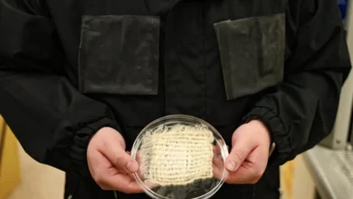 Une veste intelligente qui presse l’humidité de l’air pour étancher votre soif !