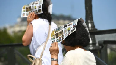 Heatwaves May Increase the Risk of Infectious Diseases in Europe