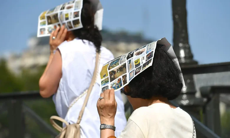 Heatwaves May Increase the Risk of Infectious Diseases in Europe