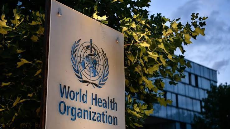 L'OMS alerte sur la hausse mondiale des cancers : les cas devraient fortement augmenter d'ici 2050