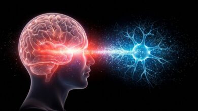 La neuroplasticité : le cerveau continue-t-il à évoluer avec l'âge ?
