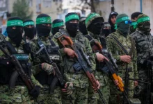 Les négociations sur Gaza entrent dans leur phase décisive : le Hamas se rapproche d'une annonce concernant son désarmement