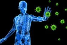 10 signes pouvant révéler que le système immunitaire s’attaque à l’organisme