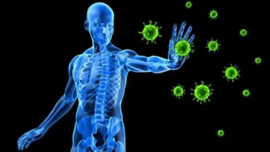 10 signes pouvant révéler que le système immunitaire s’attaque à l’organisme