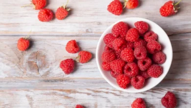 La framboise rouge en tête des fruits d’été : découvrez ses bienfaits