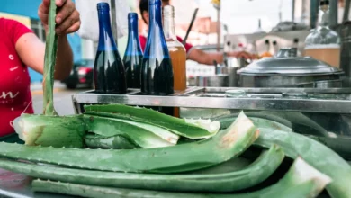 Le jus d'aloe vera peut-il réparer la muqueuse intestinale ?