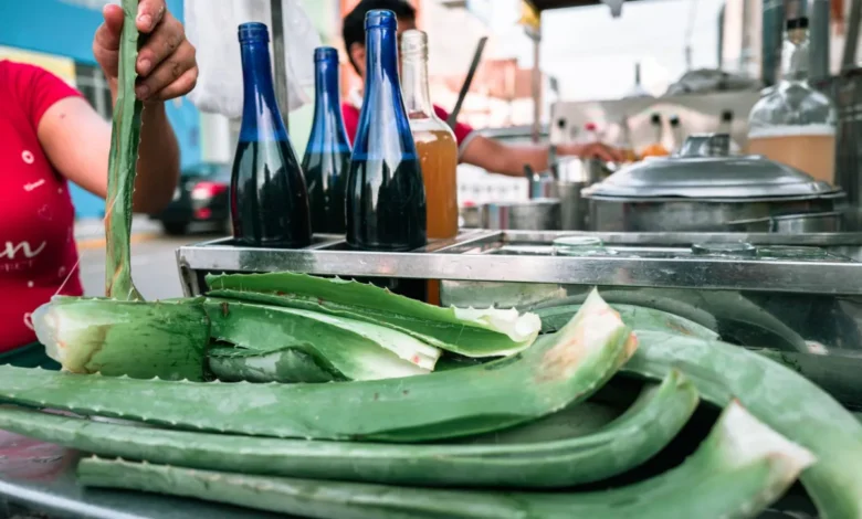 Le jus d'aloe vera peut-il réparer la muqueuse intestinale ?