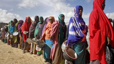 Le monde se prépare à une vague de faim alors que les guerres en Iran et en Ukraine se poursuivent