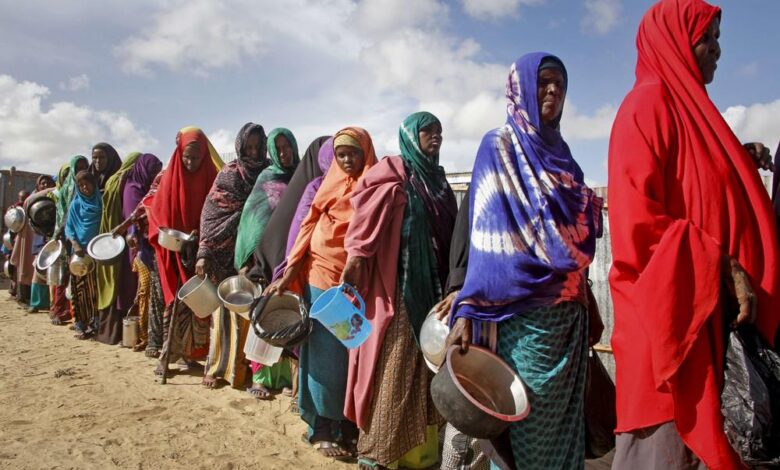 Le monde se prépare à une vague de faim alors que les guerres en Iran et en Ukraine se poursuivent