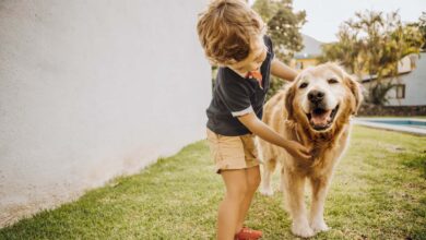 Les chiens protègent-ils les enfants contre les infections respiratoires ?