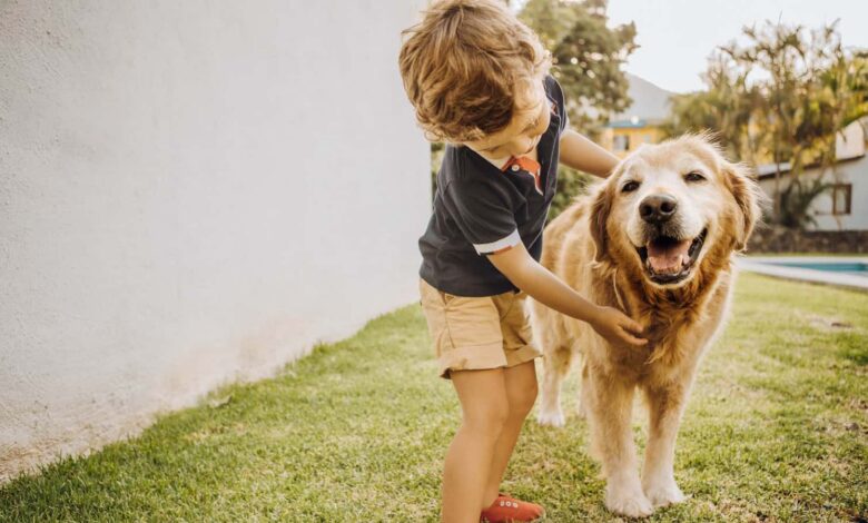 Les chiens protègent-ils les enfants contre les infections respiratoires ?